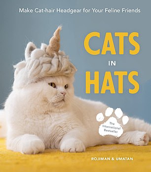The concept for this book is unsettling enough to start with ¿three moggies owned by the Japanese Instagram stars model various types of headgear